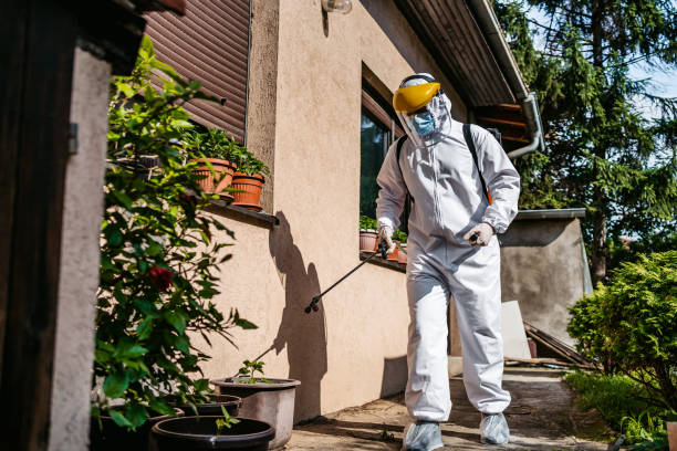 Best Affordable Pest Control Services  in Wheaton, IL