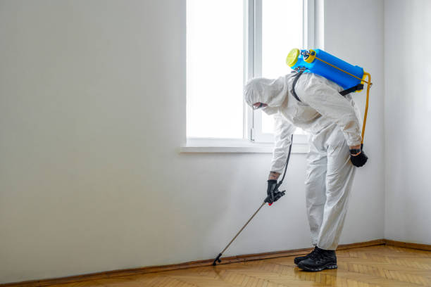 Trusted Wheaton, IL Pest Control Experts