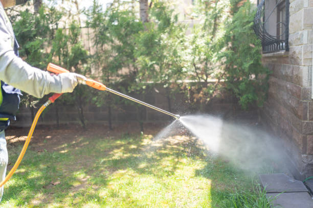 Best Rat Extermination Near Me  in Wheaton, IL