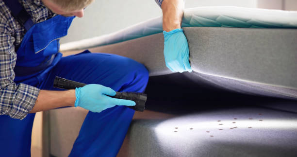 Best Ant Control Services  in Wheaton, IL