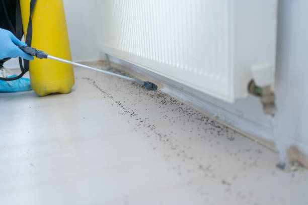 Best Commercial Pest Control Services  in Wheaton, IL