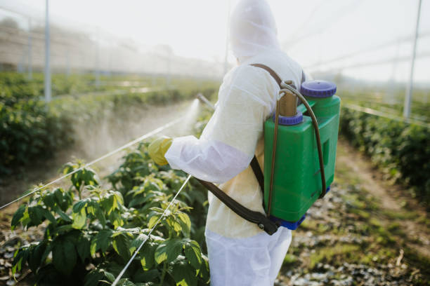 Best Affordable Pest Control Services  in Wheaton, IL